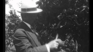 פתח תקווה 1913 Petach Tikva