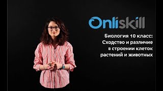 Биология 10 класс : Сходство и различие в строении клеток растений и животных