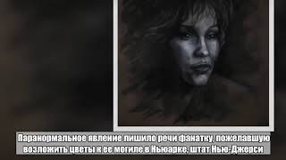 «Хочу обратно в тело»: Дух Уитни Хьюстон заметили около могилы певицы