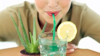 How to Make Aloe Vera Juice at Home By Gardening Sekho NOT- [seeds link below in description]