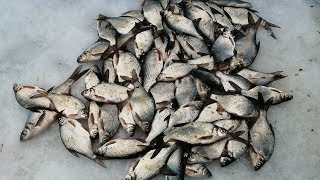 ЗИМНЯЯ РЫБАЛКА|ЛОВЛЯ  ПОДЛЕЩИКА ЗИМОЙ |РЫБАЛКА НА РЕКЕ УРАЛ