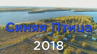 Анонс Нового Фильма о Рыбалке на Нижней Волге