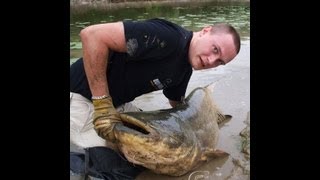 euro-som.de Team Extrem! Wallerangeln! Welsangeln.  ловля сома, Splin, сплин. catfish