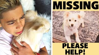 WE FOUND a MISSING PUPPY! **WE CAN'T BELIEVE IT** | The Royalty Family