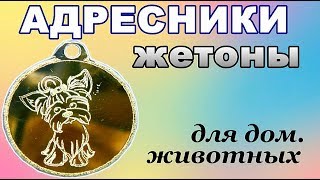 ЖЕТОНЫ- АДРЕСНИКИ для домашних животных. **