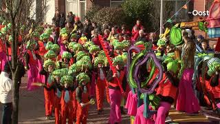 Knallende muziek tijdens carnaval funest voor gehoor