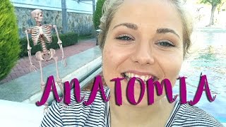 Estudiando MEDICINA | Examen FINAL ANATOMIA