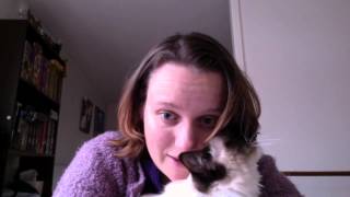Cross stitch #1 - Background and a lot of rambling