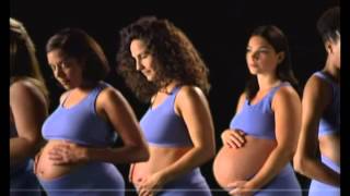 Embarazo Parte 1 - Discovery History Español