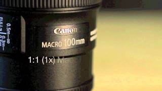L your senses | Canon EF 100mm f/2.8L IS USM Macro lens
