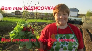 Вот так РЕДИСКА!!! Хитрый способ дал свой урожай.