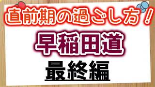 早稲田道 最終編 直前期の過ごし方