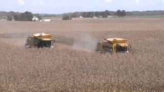 Caterpillar 595R and Claas Lexion 760TT Combines Harvesting Corn