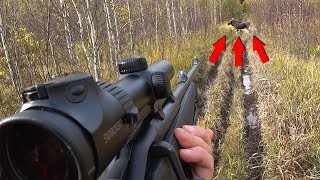 Охота на лося загоном. Удачное открытие сезона!