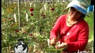 2013/10/29 อมรออนทัวร์ - ถอดรหัส FTA เกษตรกรสวนดอกไม้