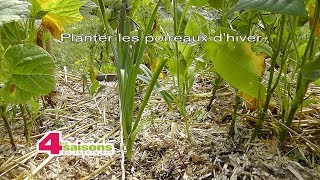 Planter les poireaux d'hiver - Les 4 Saisons du jardin bio