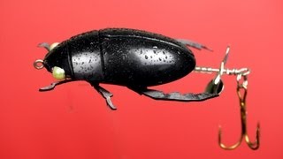 Making A Beetle Fishing Lure From Plastic Spoons
