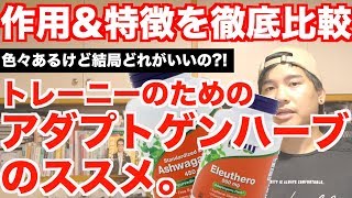 "トレーニー"のための【アダプトゲンハーブのススメ】3大ハーブの作用&特徴を徹底解説。