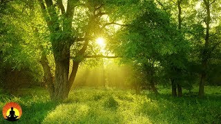 Meditation Music, Classical Music for Studying and Concentration: Instrumental Music, Focus, ♫E225