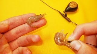 Креветка как наживка для рыбы.Рыбалка.Fishing