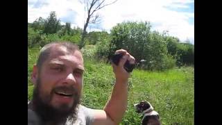 Обзор моего участка часть 5//поездка на участок // переезд в деревню