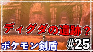 ＜６番道路＞レベルも上げつつ、次の街へと進みますが思いっきり迷子；；【ポケットモンスター ソード・シールド】#25