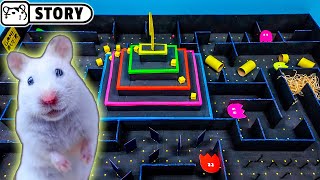 Hamster Pac-Man Maze ● GAME MAZE with Rainbow PYRAMID ● Cardboard Pacman Game