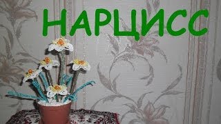 Бисероплетение для начинающих (Нарцисс 1 часть) Мастер-класс