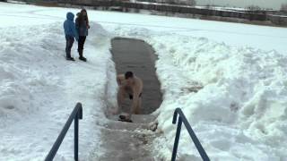 Моржи России