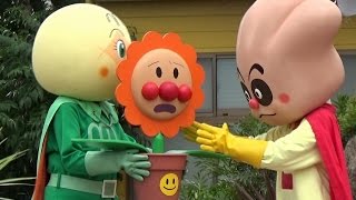 【アンパンマン】キャラクタショー動画 ｜ Anpanman Show