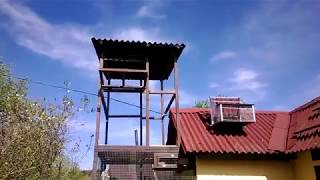 Строительство верхнего вольера для голубей завершено