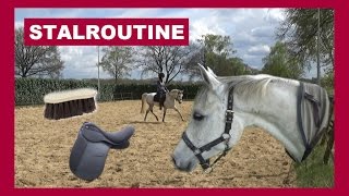 STALROUTINE BIJ ARABIER LUBIMI | snuitable