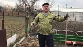 Делаем грядку для богатырской моркови