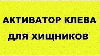 Лучший активатор клёва для хищника/ ПОРОЛОНКА / КАК СДЕЛАТЬ АТТРАКТАНТ своими руками
