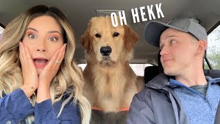 My Dog Reacts to Car Wash