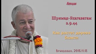 Чайтанья Чандра Чаран Прабху - 2018.11.18, Вриндаван, ШБ 2.9.44, Как растет дерево бхакти