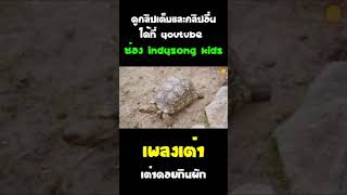 เพลงเต่าดอยกินผัก #เพลงเต่า #shorts