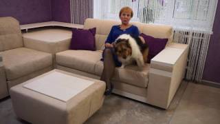Отзыв о фабрике Савлуков-Мебель и диване Жаклин