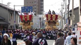 平成21年 東大阪市枚岡神社秋郷祭宵宮 額田･宝箱･豊浦担ぎ合い