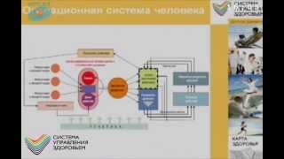 Как функционирует операционная система подсознание человека