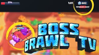 БОЙ с БОССОМ: КАК 100% ПОПАСТЬ В BRAWL TV