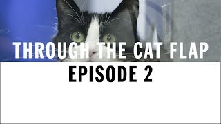 New Arrivals | Through The Cat Flap | S1 | Episode 2