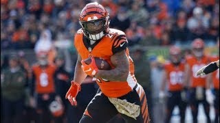 Joe Mixon FULL 2018-2019 Season Highlights