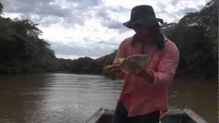 Pesca esportiva de Dourado