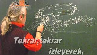 Hayalden taze kabak turp havuç kompozyon çizimi,öğren