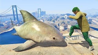 GTA 5 Water Fails | Ragdolls vol.48 (Euphoria physics)