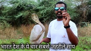 भारत देश के ये 4 सांप सबसे जहरीले होते है | Most 4 venomous snake from Indian