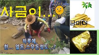 사금을 하루에  금 열돈, 스무돈 ?