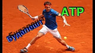 ATP Будапешт прогнозы на теннис