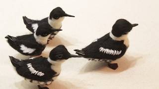 DIY Needle Felting a Marbled Murrelet Bird Tutorial for Beginners 14yrs+ ( Stop Motion Animation )